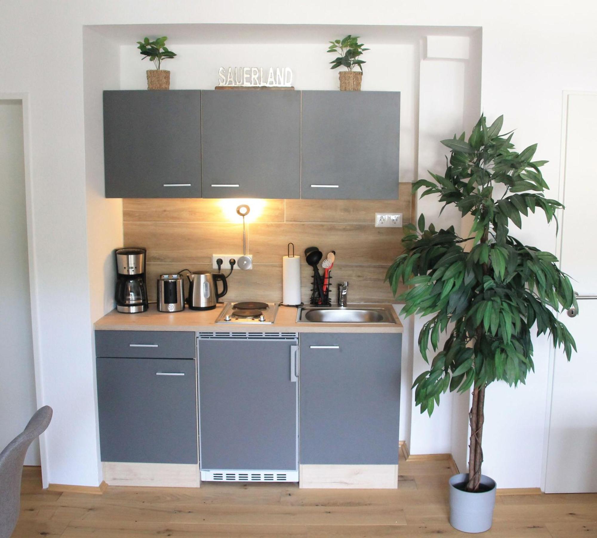 Ferienwohnung-sonnenblick-willingen Apartment *